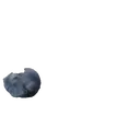 Կպչուն պիտակ