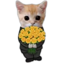 ස්ටිකර්