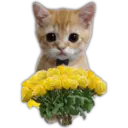 ස්ටිකර්