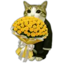 ස්ටිකර්