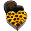 ස්ටිකර්