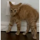 ස්ටිකර්