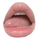 স্টিকার