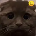 Կպչուն պիտակ