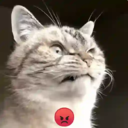 Կպչուն պիտակ