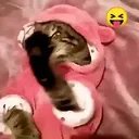 Կպչուն պիտակ