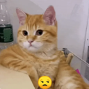 Կպչուն պիտակ