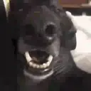 স্টিকার