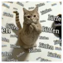 ស្ទីកเกอร์